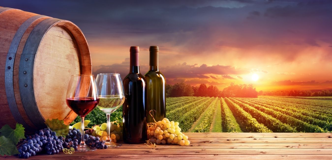 Flavors of Mexico Valle de Guadalupe